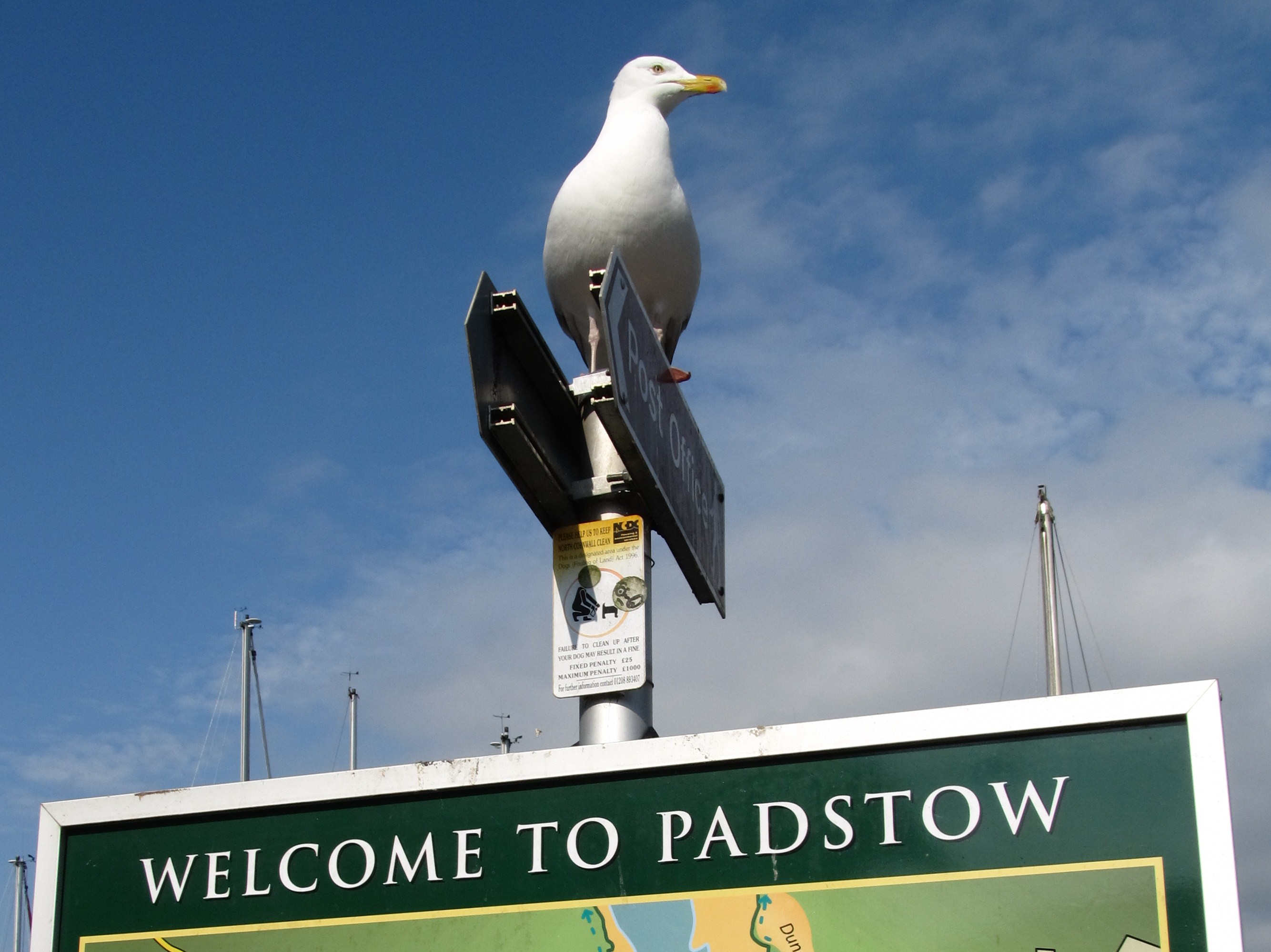 Welcome to Padstow